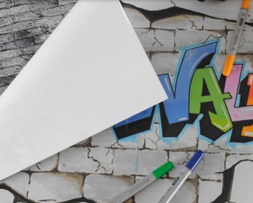 4046 canson the wall 3