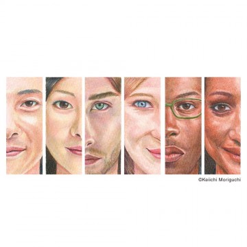 4072 set of artists colored pencils portrait holbein 12 pcs 4