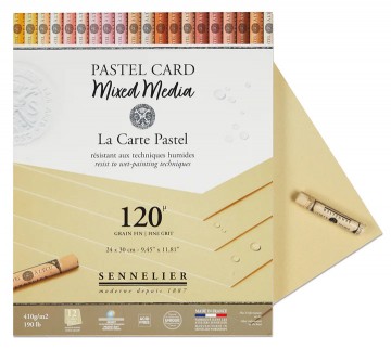 4097 sennelier pastel card mixed media