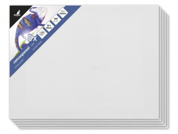 4120 kangaro canvaspaneel 30x40 cm