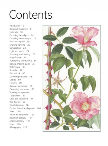 4164 1 the kew book of botanical illustration