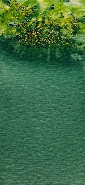 4176 jackmans crystalline watercolour set 1 dark green 2