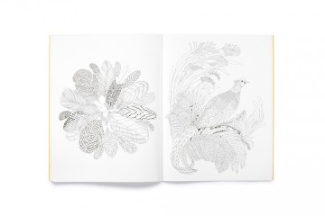 4197 9781837760008 leila dulys beautiful planet 4