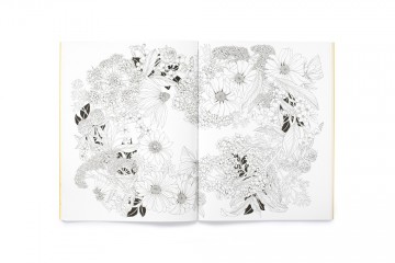 4197 9781837760008 leile dulys beautiful planet 3