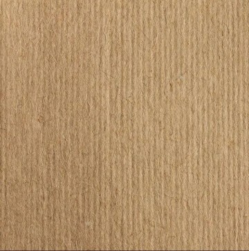 4205 clairefontaine kraft a3 3