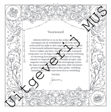 4208 magische werelden johanna basford3