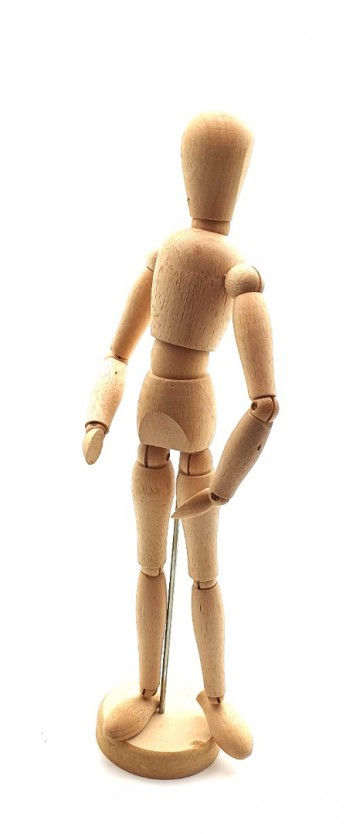 4222 ledenpop manikinkopie