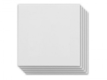 4244 1 kangaro canvaspaneel 20x20