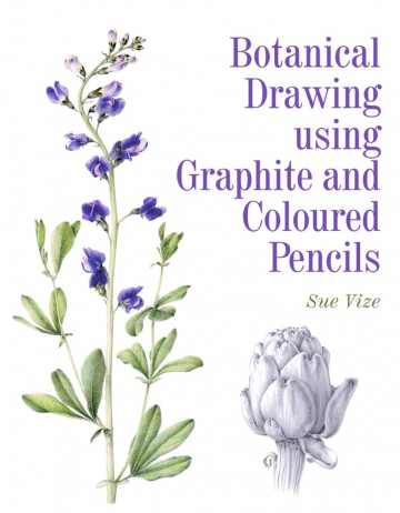 4252 boek botanical drawing using graphite and coloured pencils