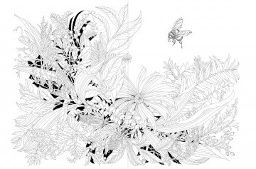 4254 3 kleurboek a walk in the woods