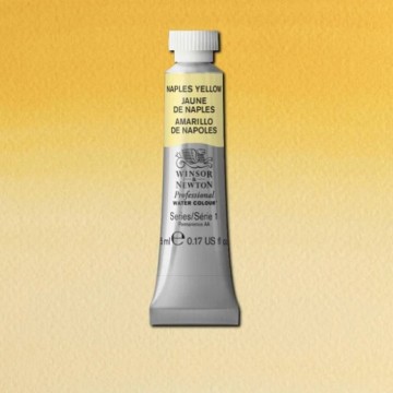 4278 422 winsor newton professional watercolour naples yellow