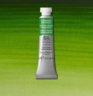 4278 503 winsor newton professional watercolour permanent sap green