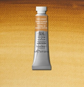 4278 554 winsor newton professional watercolour raw umber