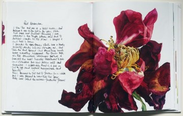 4336 rosie sanders roses 0