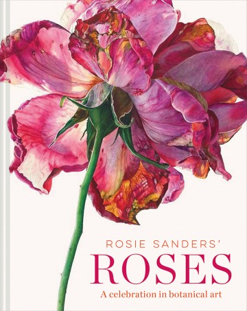 4336 rosie sanders roses