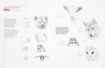 4337 you will be able to draw animals jake spicer 2