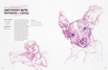 4337 you will be able to draw animals jake spicer 3