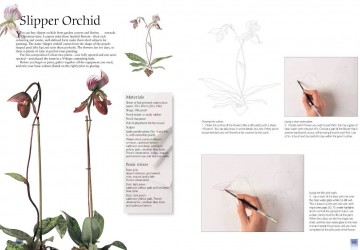 4339 billy showell watercolour flower portraits 3