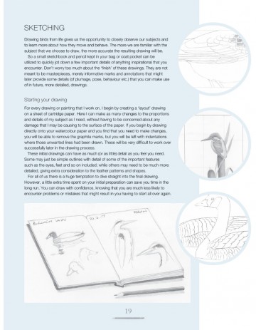 4340 2 drawing birds
