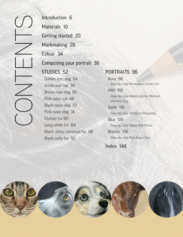 4341 1 drawing animal portraits