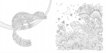 4342 millie marotta precious planet 3