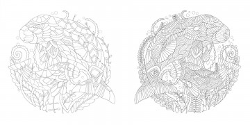 4342 millie marotta precious planet 5