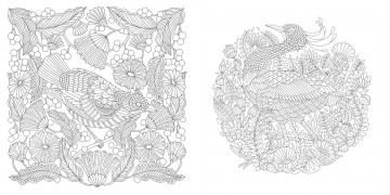 4342 millie marotta precious planet