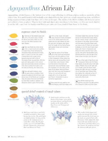 4343 2 the watercolour flower painters a z