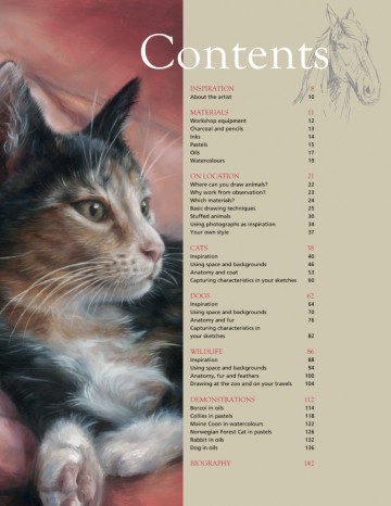 4346 1 drawing and painting animals