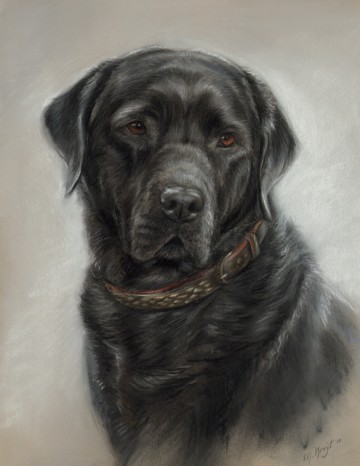 4346 2 drawing and painting animals