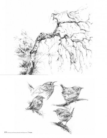 4346 3 drawing and painting animals