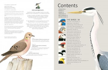 4352 a z of bird portraits andrew forkner 2