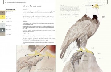 4352 a z of bird portraits andrew forkner 5