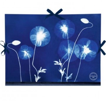 4374 clairefontaine tekenmap 28x38 cm