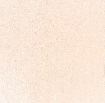 4410 3108 panpastel vermillion tint