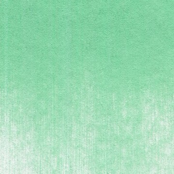 4410 6407 panpastel permanent green light