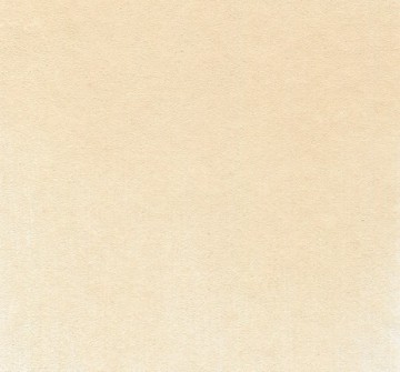 4410 7108 panpastel raw sienna tint