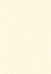 4511 fabriano tiziano pastelpapier 160gr 02 crema 1