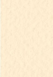 4511 fabriano tiziano pastelpapier 160gr 03 banana 1