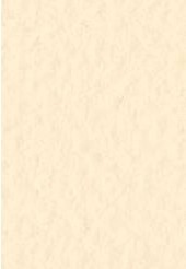 4511 fabriano tiziano pastelpapier 160gr 03 banana