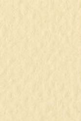 4511 fabriano tiziano pastelpapier 160gr 04 sahara