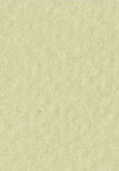 4511 fabriano tiziano pastelpapier 160gr 11 verduzzo 0