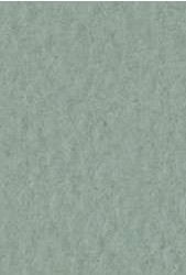 4511 fabriano tiziano pastelpapier 160gr 13 salvia