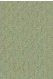 4511 fabriano tiziano pastelpapier 160gr 14 muschio