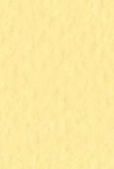 4511 fabriano tiziano pastelpapier 160gr 20 limone 0