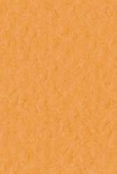 4511 fabriano tiziano pastelpapier 160gr 21 arancio