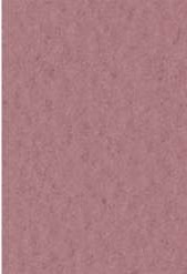 4511 fabriano tiziano pastelpapier 160gr 23 amaranto 1