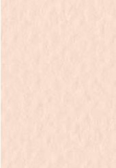 4511 fabriano tiziano pastelpapier 160gr 25 rosa 1
