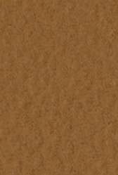4511 fabriano tiziano pastelpapier 160gr 9 caffe 0