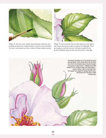 4583 botanical watercolours trhough the years sandrine maugy 2